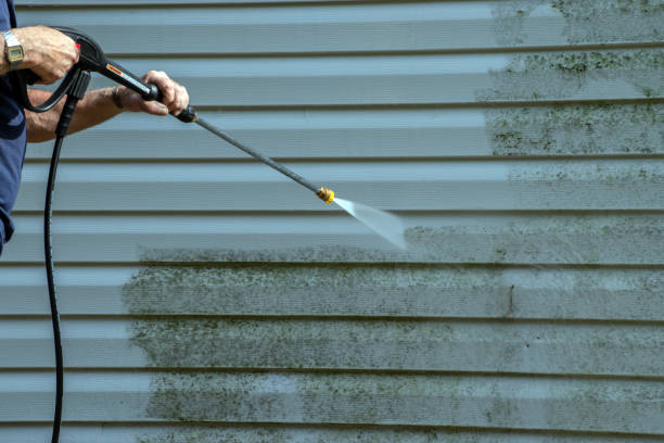 Best Pressure Washing Services Near Me  in Ludington, MI