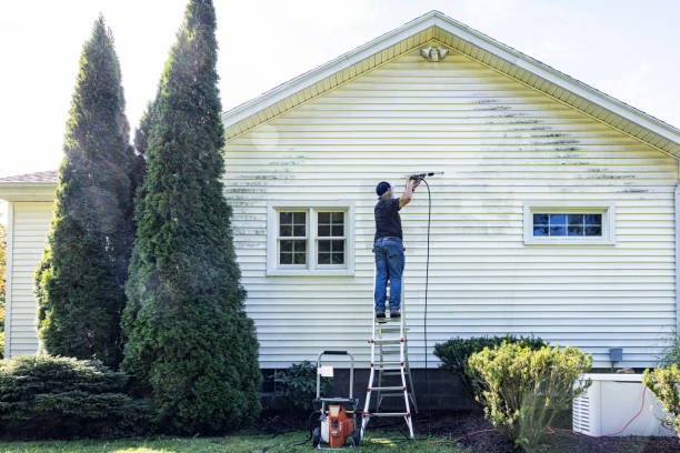 Best Affordable Pressure Washing  in Ludington, MI