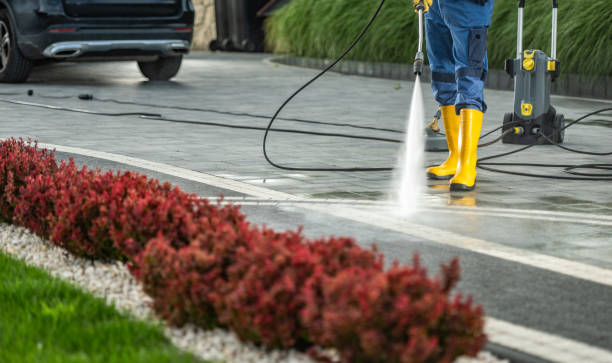 Best Pressure Washing Siding  in Ludington, MI