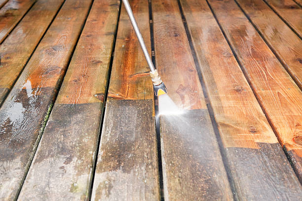 Best Local Pressure Washing Services  in Ludington, MI