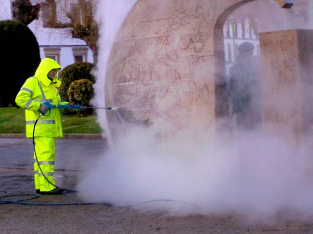 Best Pressure Washing Near Me  in Ludington, MI