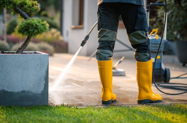 Best Exterior Home Cleaning  in Ludington, MI
